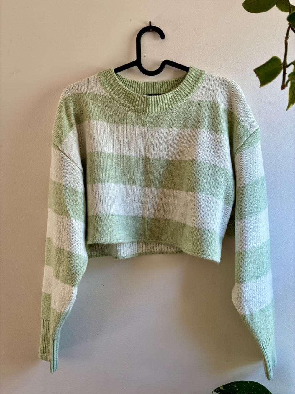 Streetwear Society Cropped Crewneck Sweater in Mint Green and White Stripes